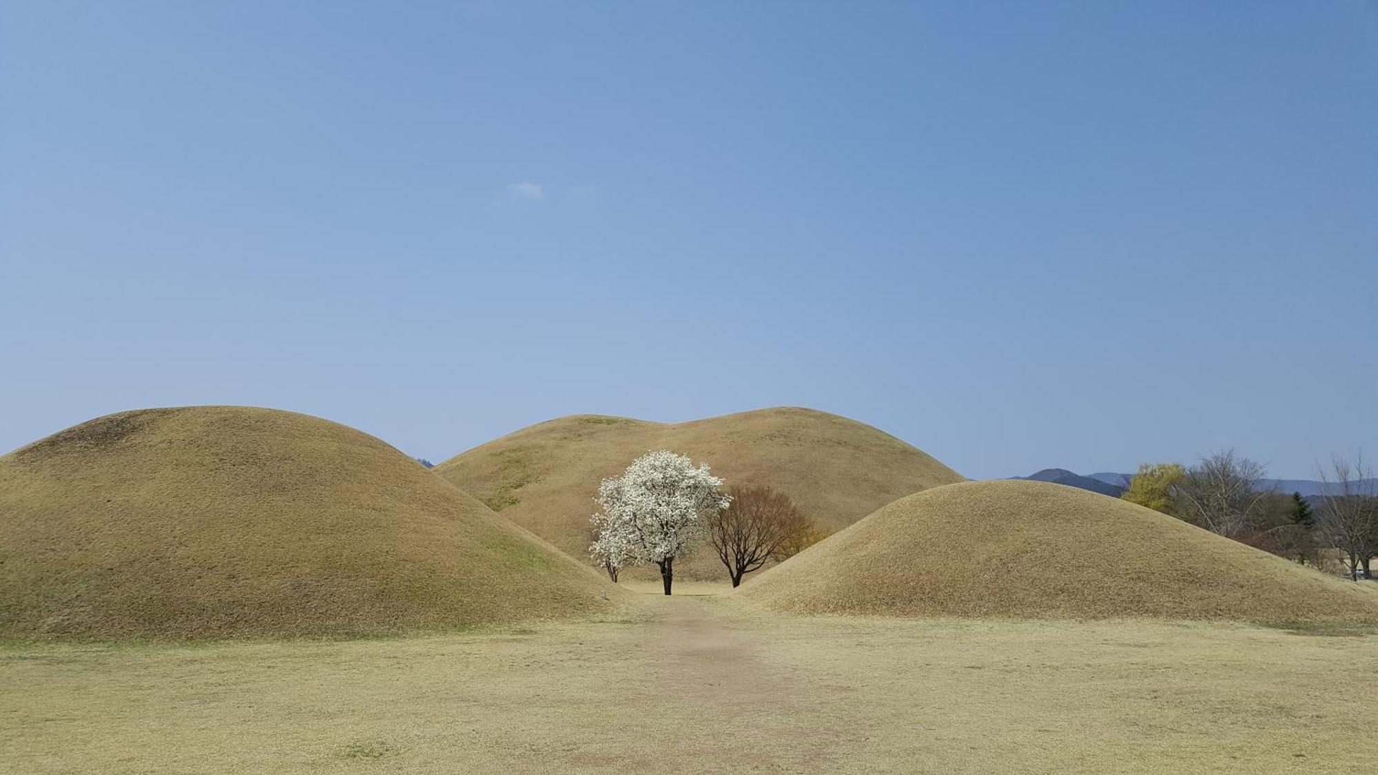 Trip To Gyeongju Otel Dış mekan fotoğraf